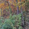 SAV_2023_1510